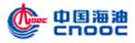 中国海洋工程公司